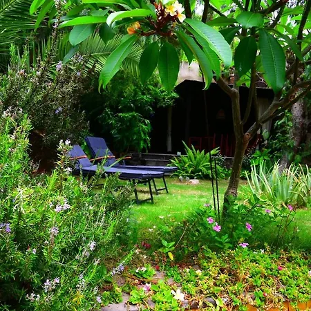 Casa La Moringa Tatil Evi Los Silos